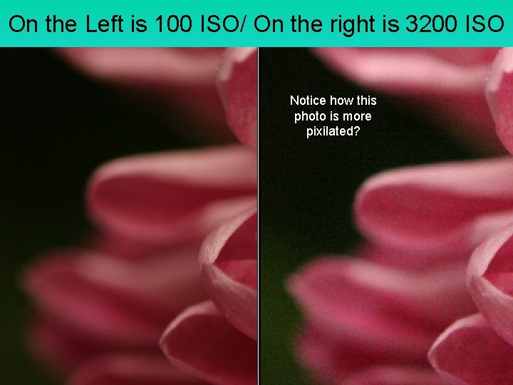 On the Left is 100 ISO/ On the right is 3200 ISO Notice how