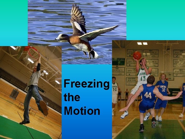 Freezing the Motion 