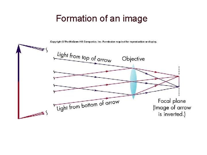 Formation of an image 