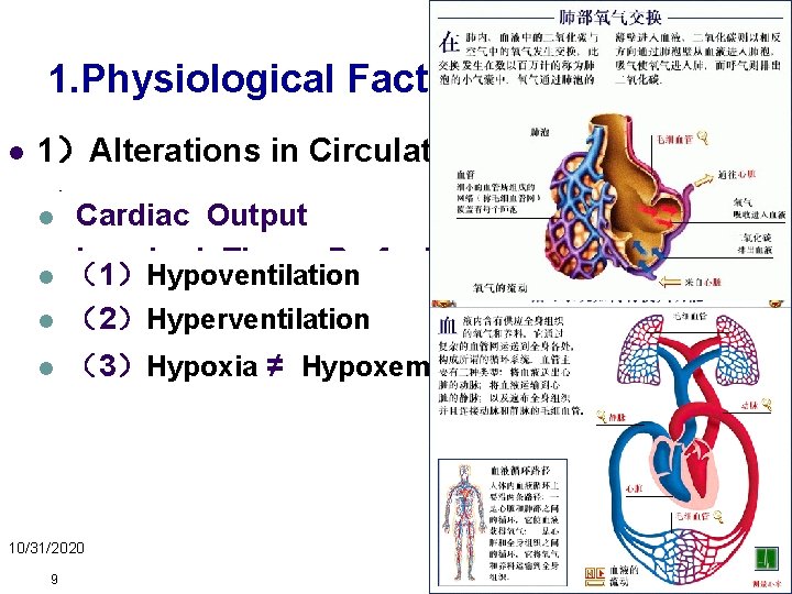 1. Physiological Factors l 1）Alterations in Circulatory Functioning l 2）Alterations in Respiratory l Cardiac