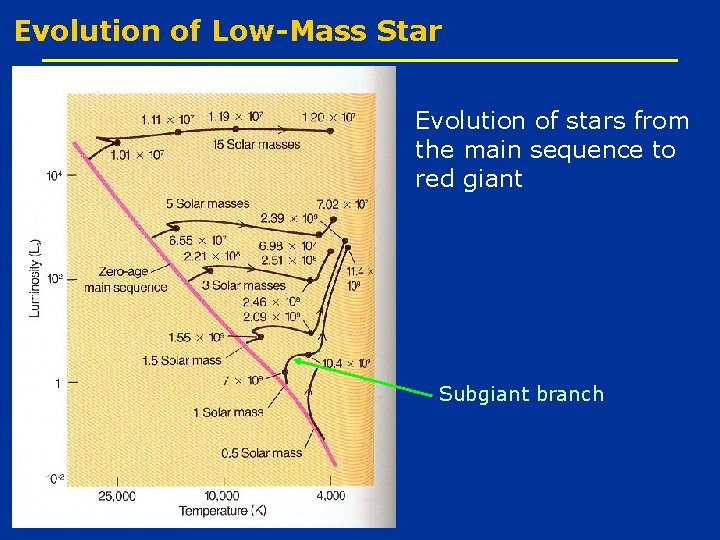 Evolution of Low-Mass Star Evolution of stars from the main sequence to red giant