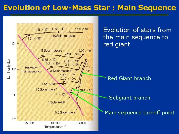 Evolution of Low-Mass Star : Main Sequence Evolution of stars from the main sequence