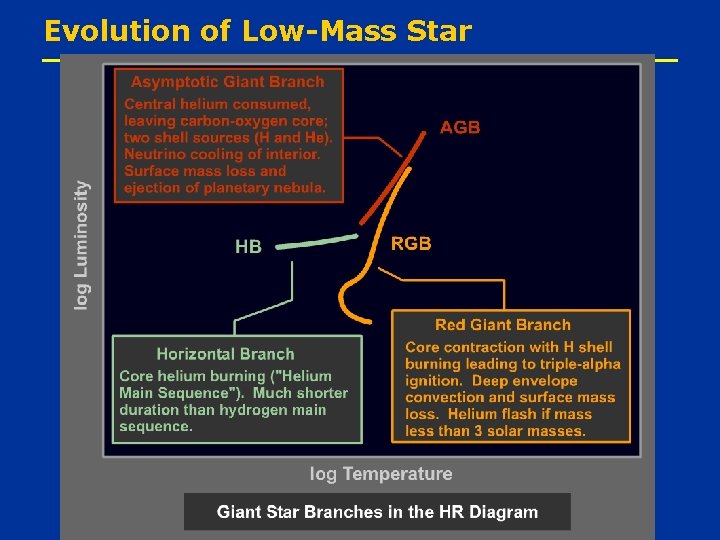 Evolution of Low-Mass Star 