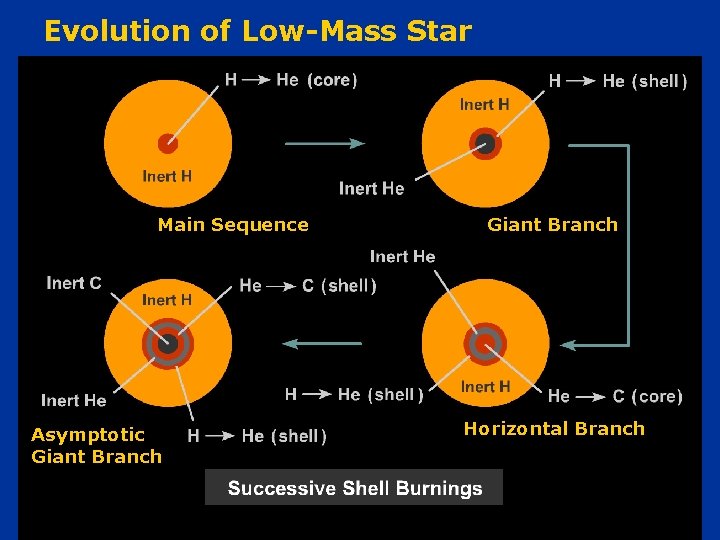 Evolution of Low-Mass Star Main Sequence Asymptotic Giant Branch Horizontal Branch 