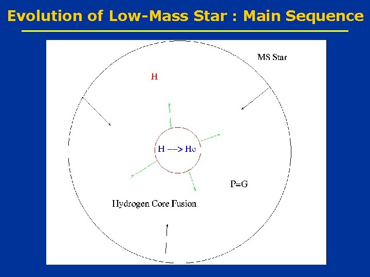 Evolution of Low-Mass Star : Main Sequence 