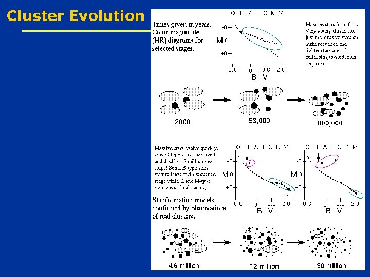 Cluster Evolution 