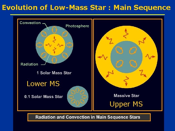 Evolution of Low-Mass Star : Main Sequence Lower MS Upper MS 