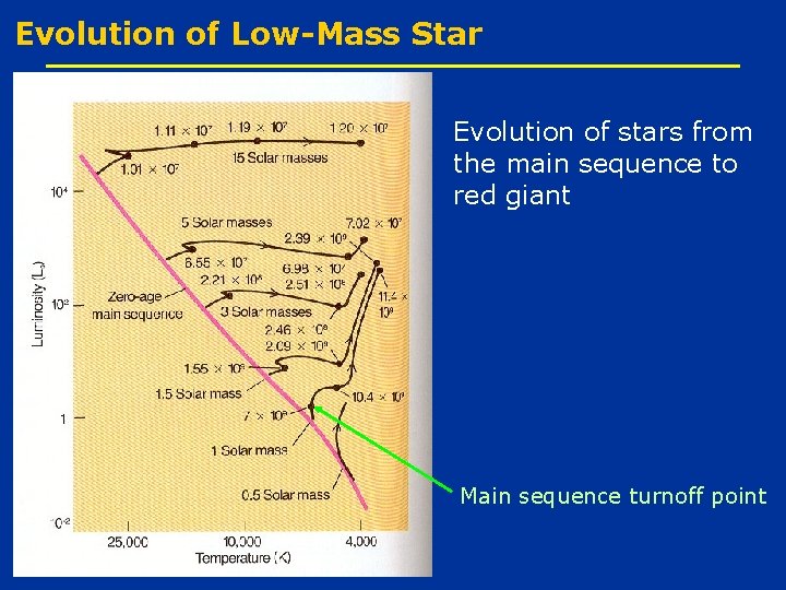 Evolution of Low-Mass Star Evolution of stars from the main sequence to red giant