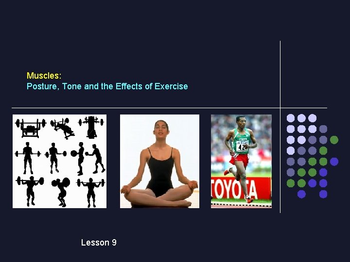 Muscles: Posture, Tone and the Effects of Exercise Lesson 9 