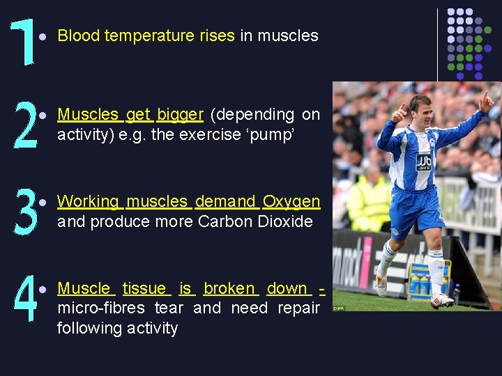 l Blood temperature rises in muscles l Muscles get bigger (depending on activity) e.