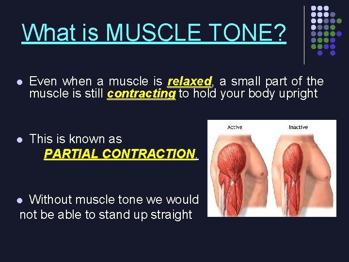 What is MUSCLE TONE? l Even when a muscle is relaxed, relaxed a small