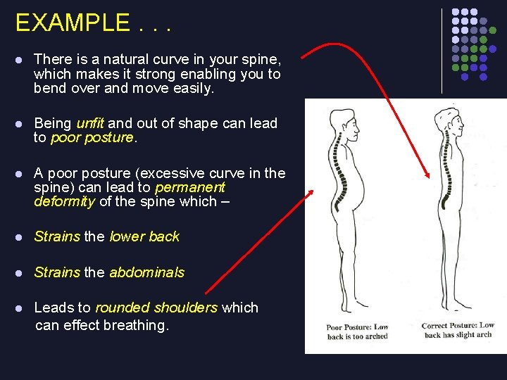 EXAMPLE. . . l There is a natural curve in your spine, which makes