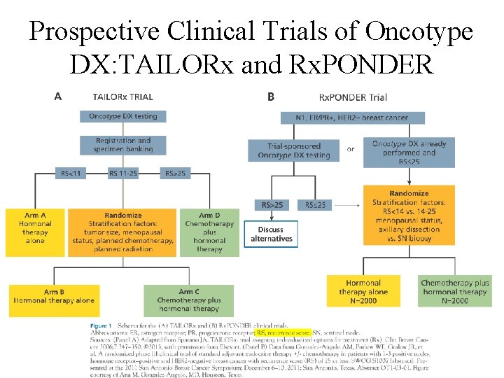 Prospective Clinical Trials of Oncotype DX: TAILORx and Rx. PONDER Prospective Clinical Trials of Oncotype DX: TAILORx and Rx. PONDER