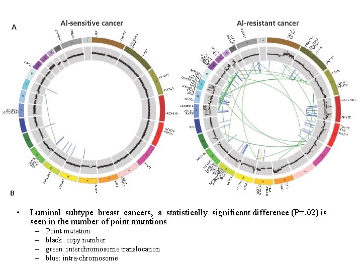• Luminal subtype breast cancers, a statistically significant difference (P=. 02) is seen • Luminal subtype breast cancers, a statistically significant difference (P=. 02) is seen