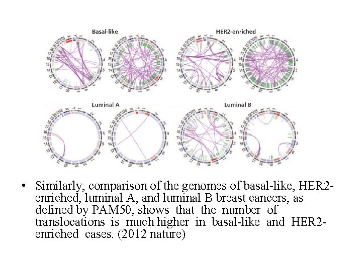 • Similarly, comparison of the genomes of basal-like, HER 2 enriched, luminal A, • Similarly, comparison of the genomes of basal-like, HER 2 enriched, luminal A,