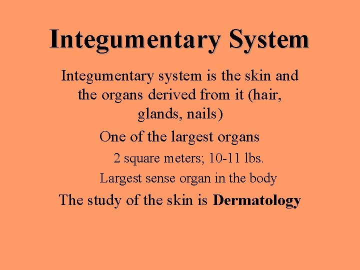 Integumentary System Integumentary system is the skin and the organs derived from it (hair,