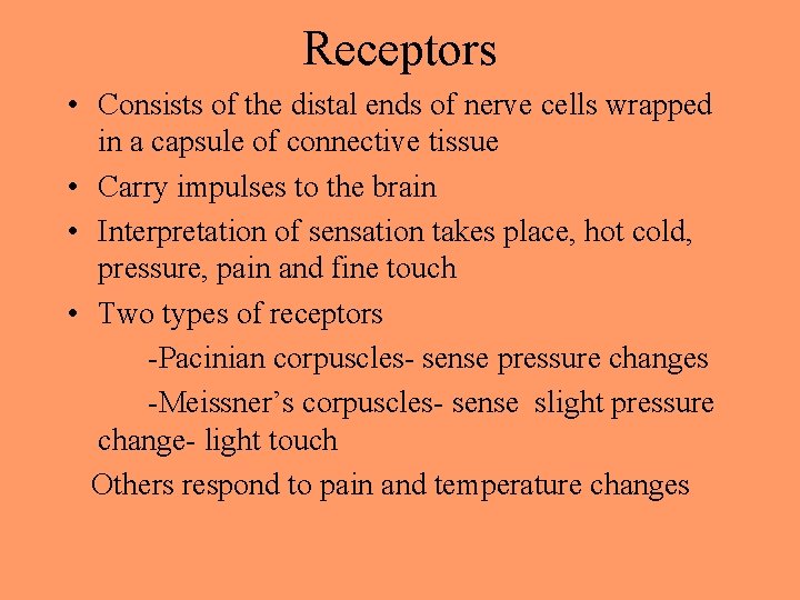 Receptors • Consists of the distal ends of nerve cells wrapped in a capsule