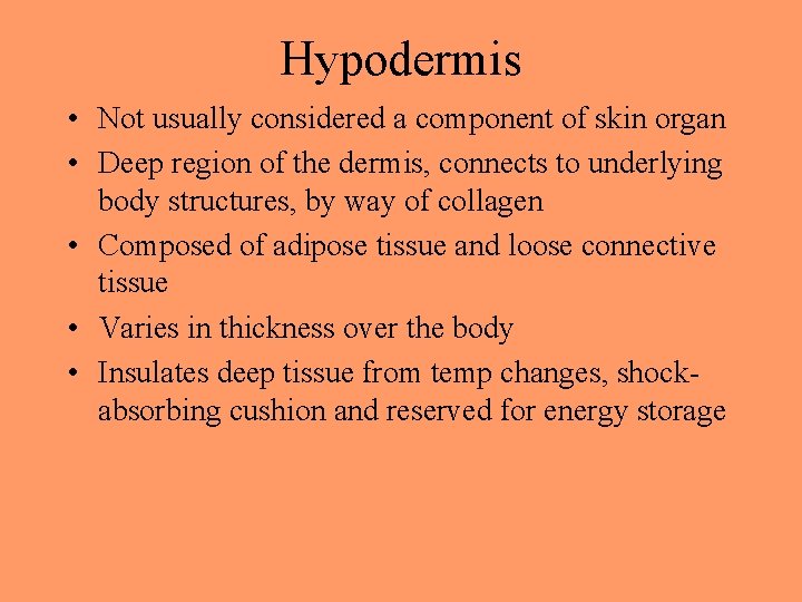 Hypodermis • Not usually considered a component of skin organ • Deep region of