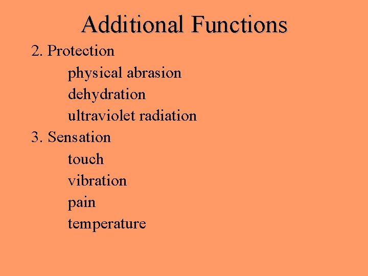 Additional Functions 2. Protection physical abrasion dehydration ultraviolet radiation 3. Sensation touch vibration pain Additional Functions 2. Protection physical abrasion dehydration ultraviolet radiation 3. Sensation touch vibration pain