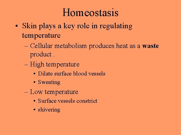 Homeostasis • Skin plays a key role in regulating temperature – Cellular metabolism produces