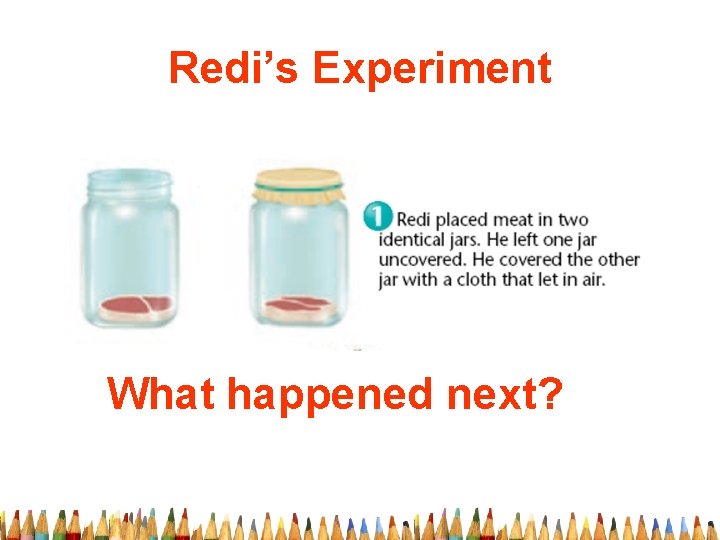 Redi’s Experiment What happened next? 