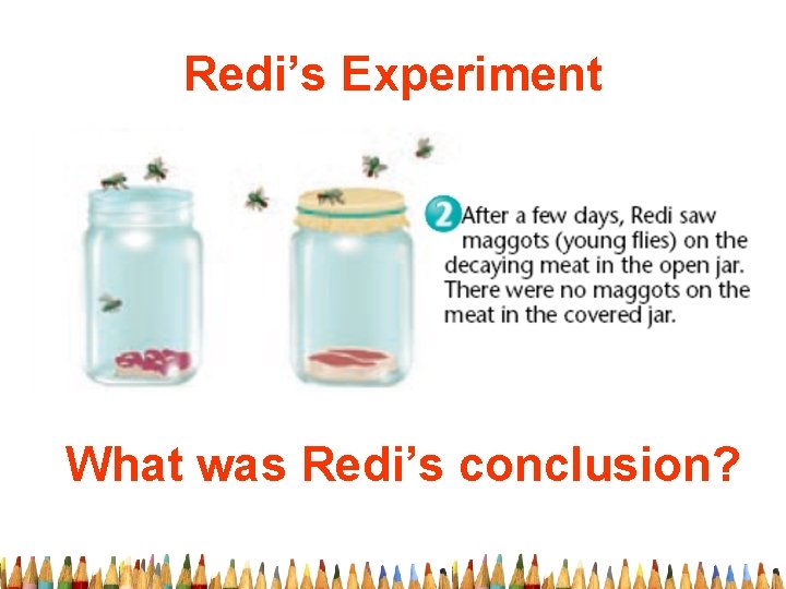 Redi’s Experiment What was Redi’s conclusion? 