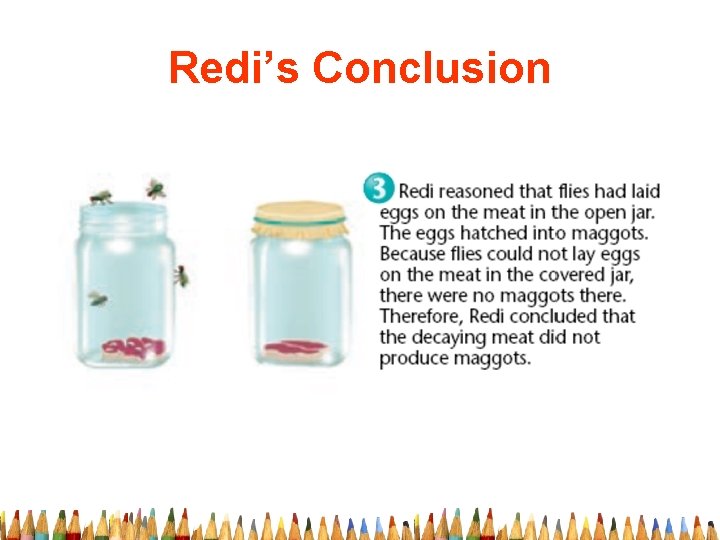 Redi’s Conclusion 