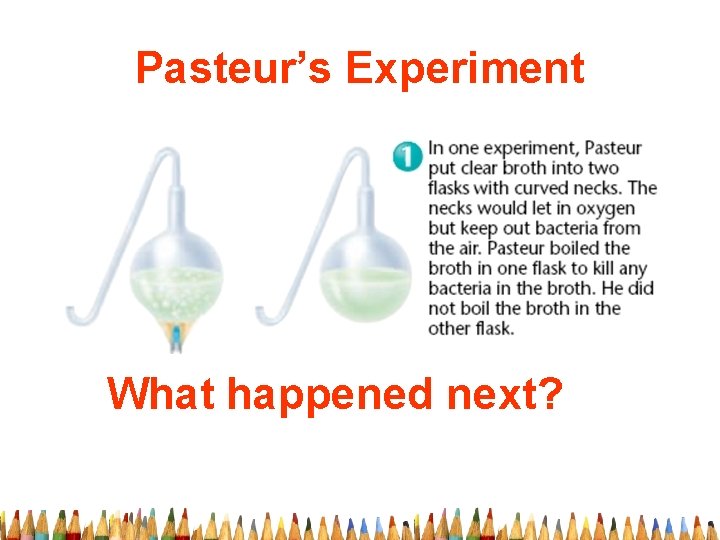 Pasteur’s Experiment What happened next? 