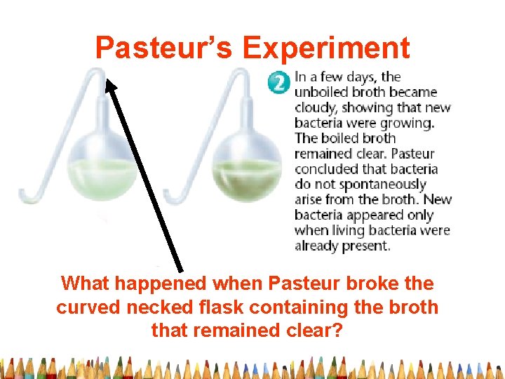 Pasteur’s Experiment What happened when Pasteur broke the curved necked flask containing the broth