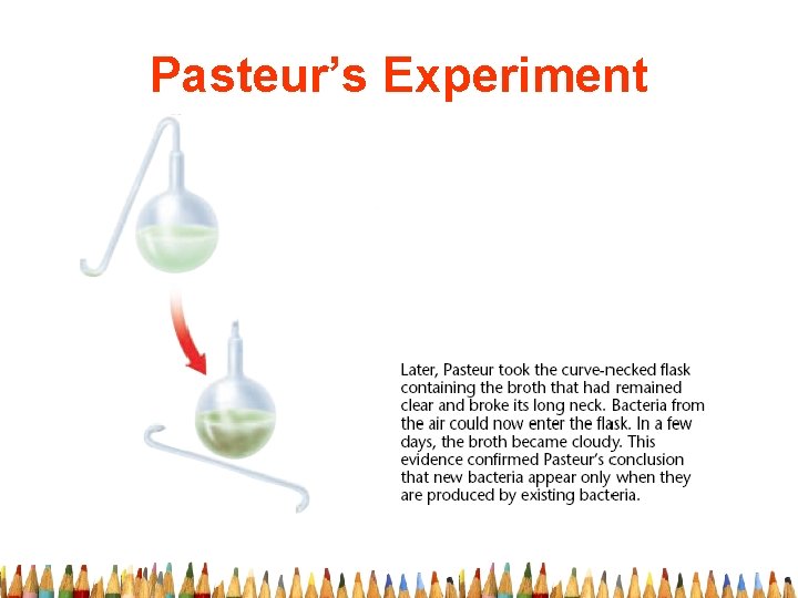 Pasteur’s Experiment 