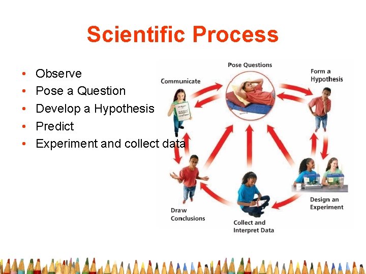 Scientific Process • • • Observe Pose a Question Develop a Hypothesis Predict Experiment