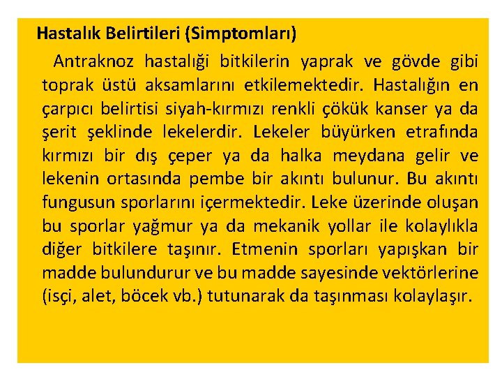  Hastalık Belirtileri (Simptomları) Antraknoz hastalıği bitkilerin yaprak ve gövde gibi toprak üstü aksamlarını