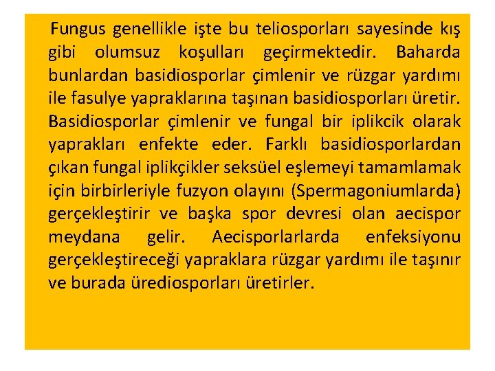  Fungus genellikle işte bu teliosporları sayesinde kış gibi olumsuz koşulları geçirmektedir. Baharda bunlardan