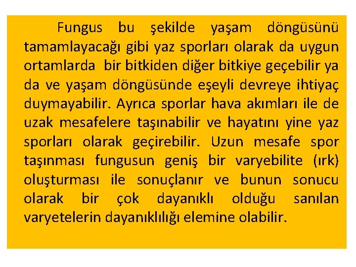  Fungus bu şekilde yaşam döngüsünü tamamlayacağı gibi yaz sporları olarak da uygun ortamlarda