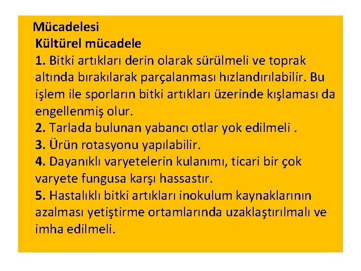  Mücadelesi Kültürel mücadele 1. Bitki artıkları derin olarak sürülmeli ve toprak altında bırakılarak