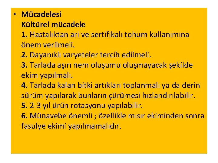  • Mücadelesi Kültürel mücadele 1. Hastalıktan ari ve sertifikalı tohum kullanımına önem verilmeli.