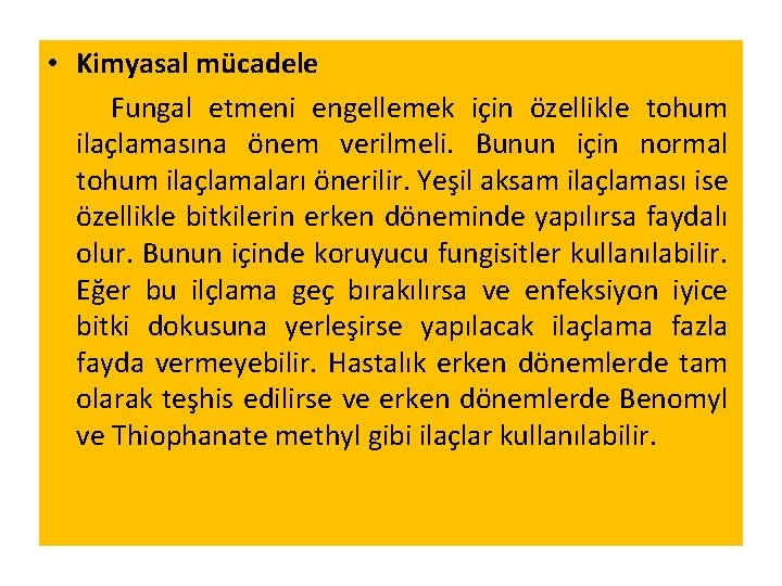  • Kimyasal mücadele Fungal etmeni engellemek için özellikle tohum ilaçlamasına önem verilmeli. Bunun