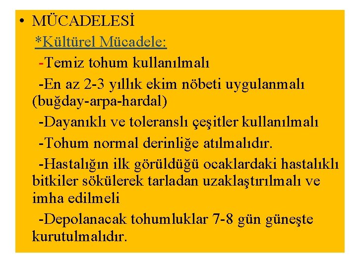  • MÜCADELESİ *Kültürel Mücadele: -Temiz tohum kullanılmalı -En az 2 -3 yıllık ekim