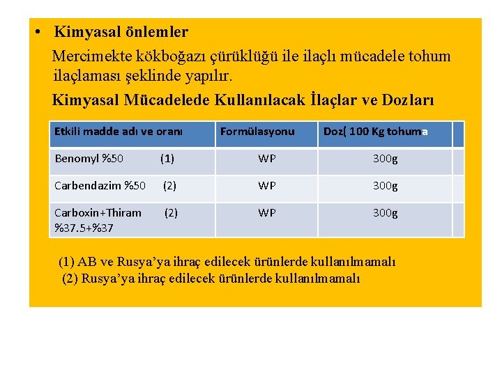  • Kimyasal önlemler Mercimekte kökboğazı çürüklüğü ile ilaçlı mücadele tohum ilaçlaması şeklinde yapılır.