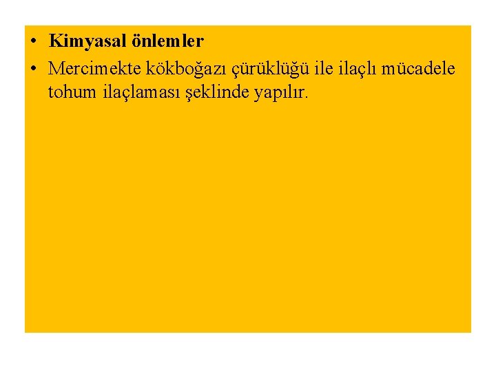  • Kimyasal önlemler • Mercimekte kökboğazı çürüklüğü ile ilaçlı mücadele tohum ilaçlaması şeklinde