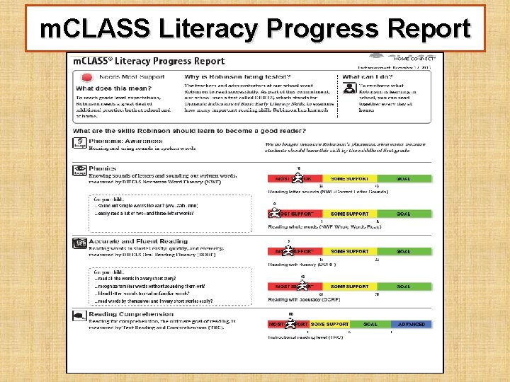m. CLASS Literacy Progress Report 