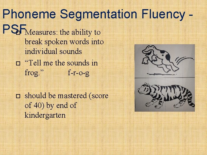 Phoneme Segmentation Fluency PSF Measures: the ability to break spoken words into individual sounds