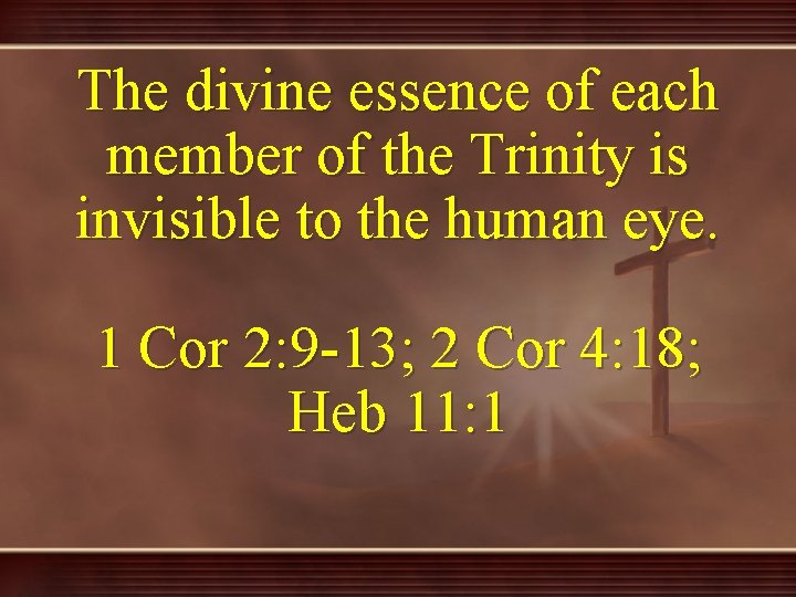 The divine essence of each member of the Trinity is invisible to the human