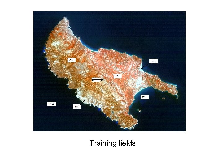 Training fields 