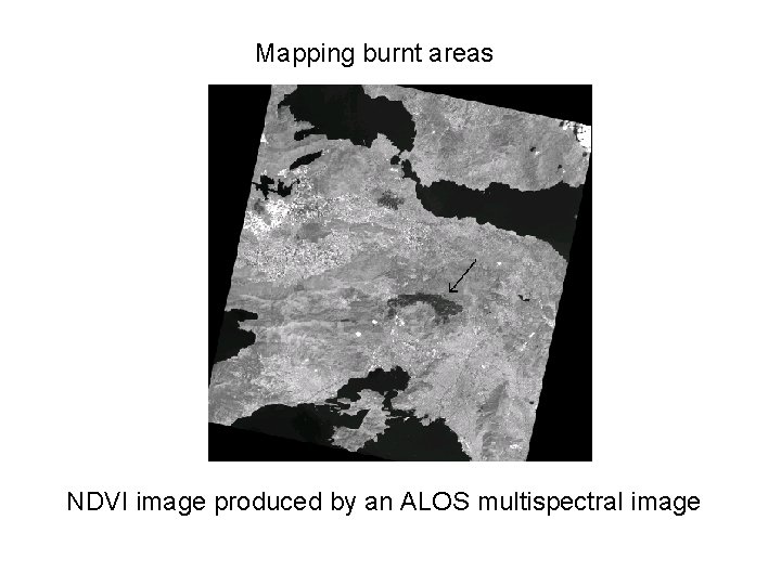 Mapping burnt areas NDVI image produced by an ALOS multispectral image 