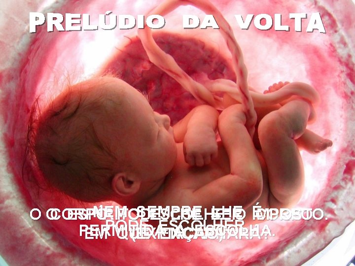 NEM SEMPRE LHE ÉCORPO O OCORPO ESPÍRITO PODE ESCOLHE SER O IMPOSTO. PODE ESCOLHER.