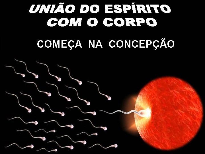 COMEÇA NA CONCEPÇÃO 