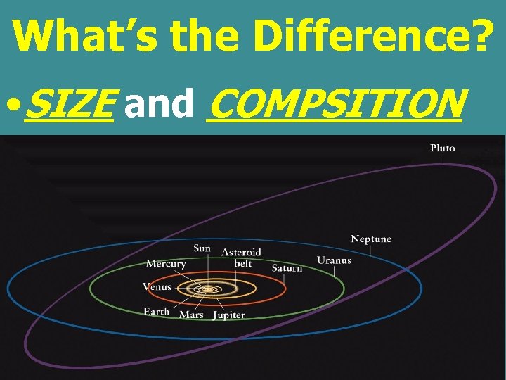What’s the Difference? • SIZE and COMPSITION 