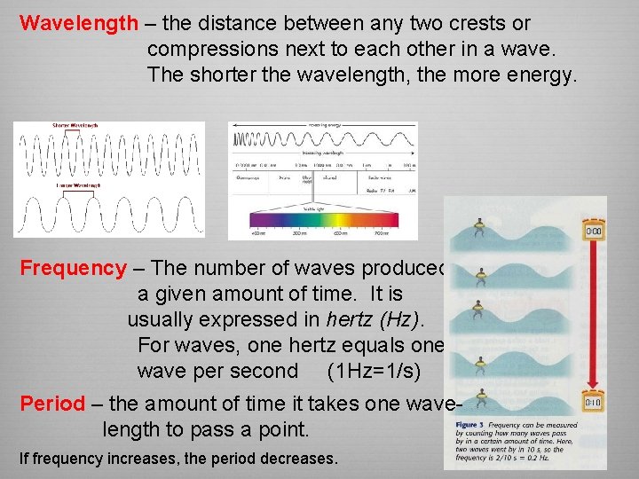 Wavelength – the distance between any two crests or compressions next to each other Wavelength – the distance between any two crests or compressions next to each other