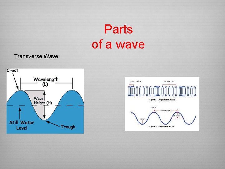 Parts of a wave Transverse Wave 